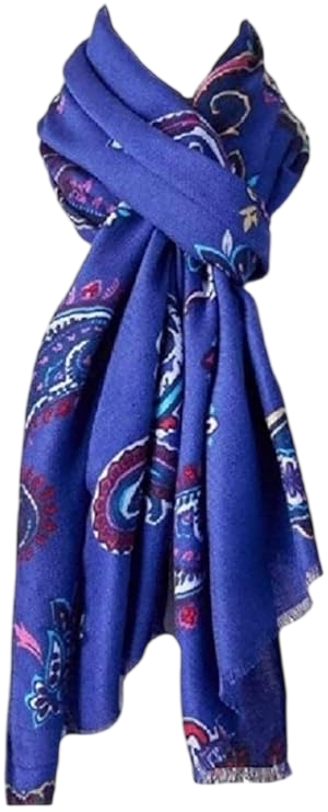 Paisley Pashmina Oblong Scarf by Apt 9